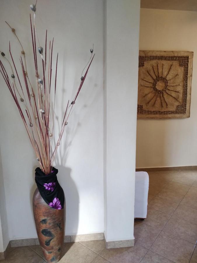 Balanca Studios Puerto Morelos Ngoại thất bức ảnh