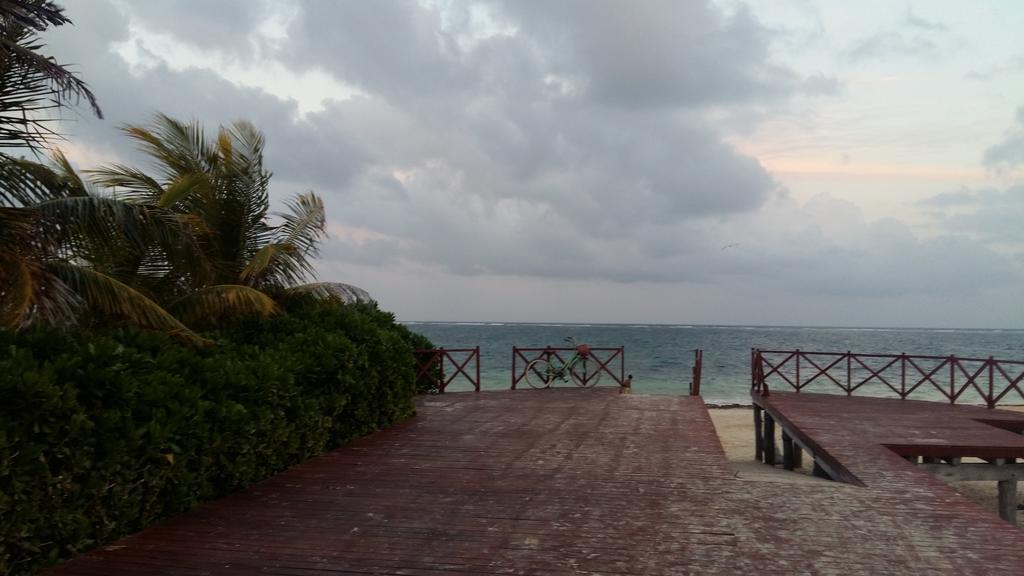 Balanca Studios Puerto Morelos Ngoại thất bức ảnh